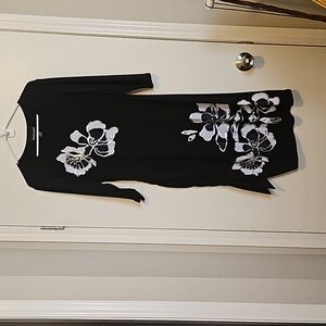 Frank Lyman Design Dress